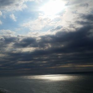 Meet your Posher, Rosa